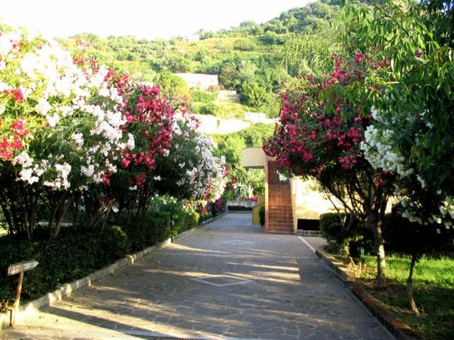 Villaggio Hotel Club Calanovellamare ปิไรโน ภายนอก รูปภาพ